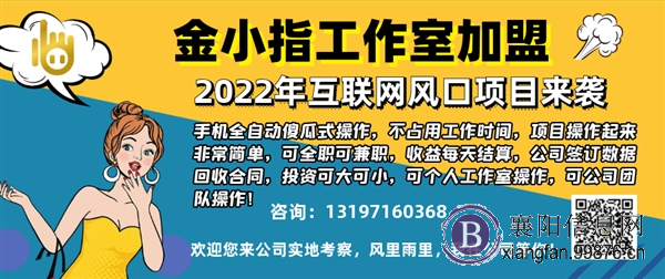 襄阳2022金小指提供一体化流量**涨粉引流拓客服务技术多号聚合躺赢创业项目赚钱风口